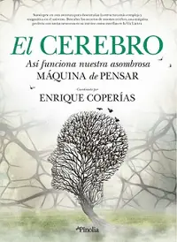 EL CEREBRO Envío Inmediato