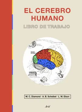 EL CEREBRO HUMANO Bestseller