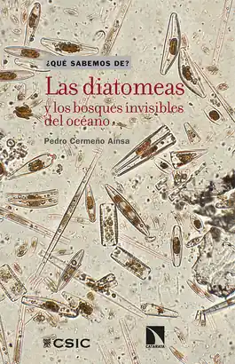 LAS DIATOMEAS Y LOS BOSQUES INVISIBLES DEL OCÉANO Máxima Calidad