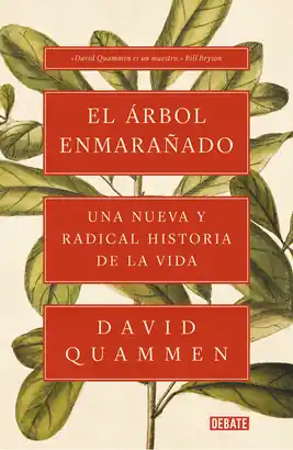 EL ÁRBOL ENMARAÑADO Ordena Ya