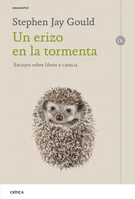 Directo De Fábrica UN ERIZO EN LA TORMENTA