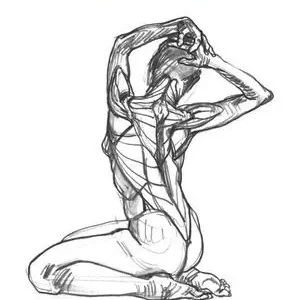 ANATOMIA ARTISTICA Garantía Incluida