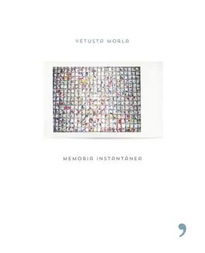 Venta Final MEMORIA INSTANTANEA