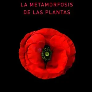 Artesanal LA METAMORFOSIS DE LAS PLANTAS
