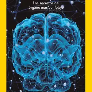 CEREBRO Alta Calidad