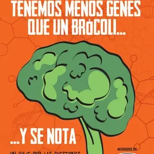 A Buen Precio TENEMOS MENOS GENES QUE UN BRÓCOLI? Y SE NOTA