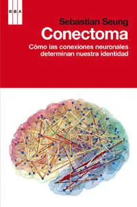 Envío Exprés CONECTOMA