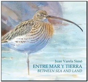 ENTRE EL MAR Y TIERRA = BETWEEN SEA AND LAND Precio Bajo