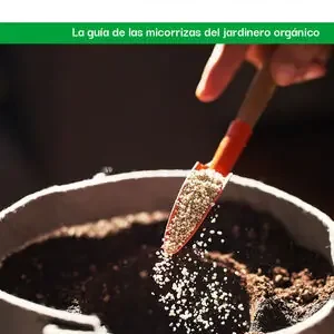 Envío Gratis CULTIVAR CON HONGOS