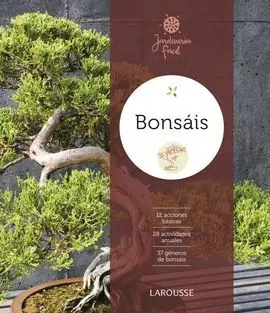 BONSAIS Imprescindible (Must-Have)