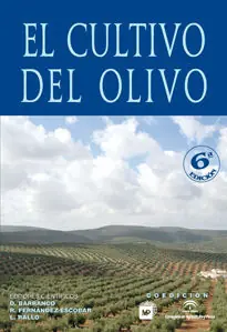 EL CULTIVO DEL OLIVO Ordena Ya