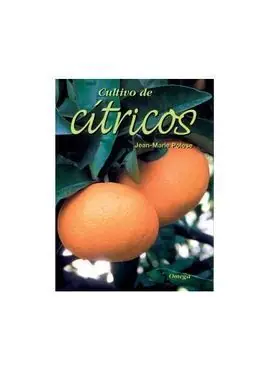 Económico CULTIVO DE CÍTRICOS