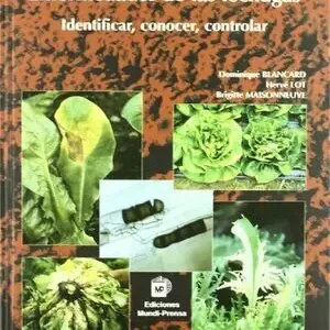 De Moda ENFERMEDADES DE LAS LECHUGAS