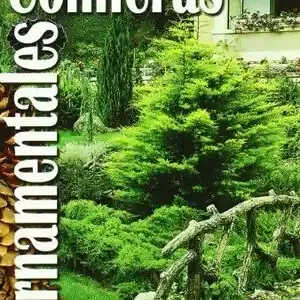 CONÍFERAS ORNAMENTALES Mejor Precio