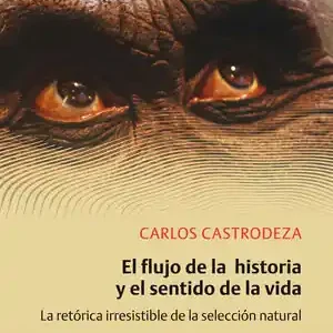 EL FLUJO DE LA HISTORIA Y EL SENTIDO DE LA VIDA Stock Limitado