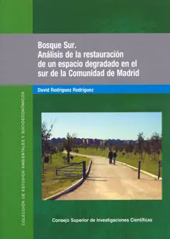 BOSQUE SUR Original