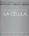 BIOLOGÍA MOLECULAR DE LA CÉLULA Mayoreo