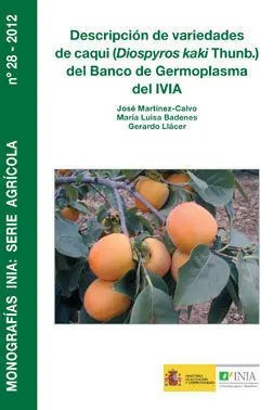 DESCRIPCION DE VARIEDADES DE CAQUI Entrega Rápida