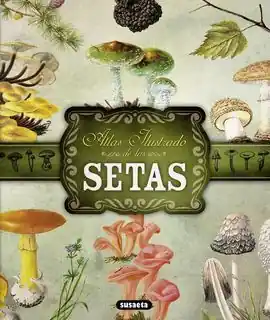 ATLAS ILUSTRADO DE SETAS Oferta De Temporada