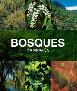 BOSQUES DE ESPAÑA Precio Bajo