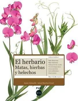 EL HERBARIO Mayoreo