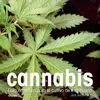 CANNABIS Devolución Gratuita