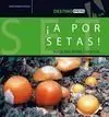 Económico A POR SETAS!. BUSCA, ENCUENTRA Y DEGUSTA